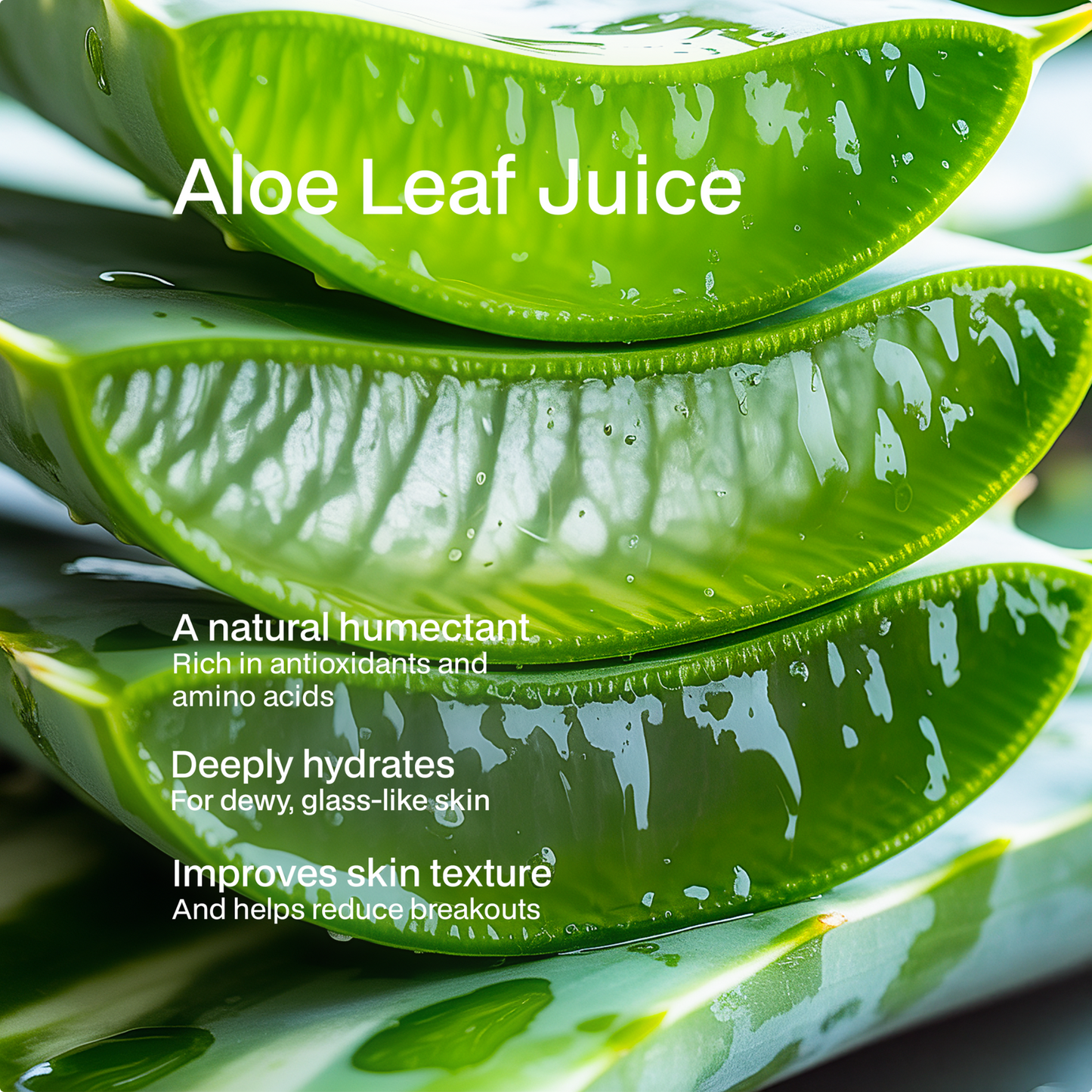 Foaming Oil Cleanser